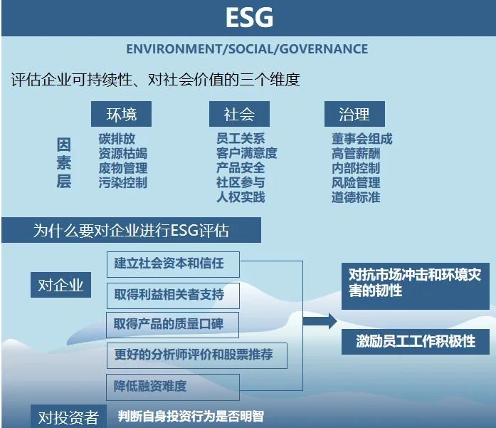 双碳战略咨询服务(双碳战略是什么意思)漯河市