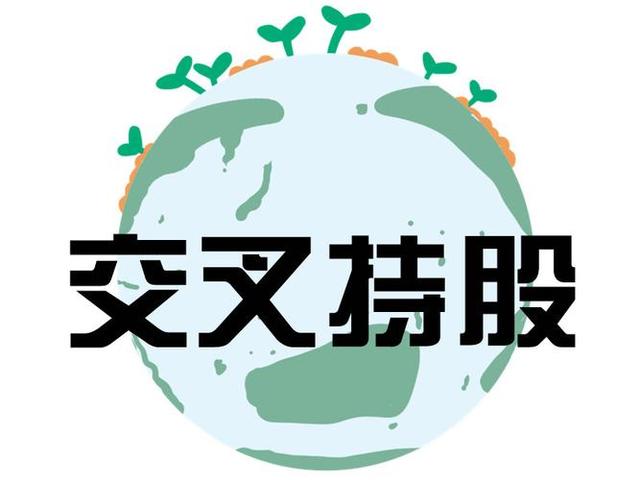 交叉持股安排设计(交叉持股怎么计算持股比例)漯河市